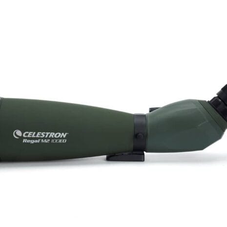 050234523066_regal_m_YXLyA 050234523066_regal_m_YXLyA