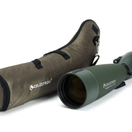 050234523066_regal_m_cPzC7 050234523066_regal_m_cPzC7