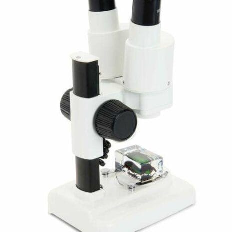 44207_s20_rear_right_WEnLr 44207_s20_rear_right_WEnLr