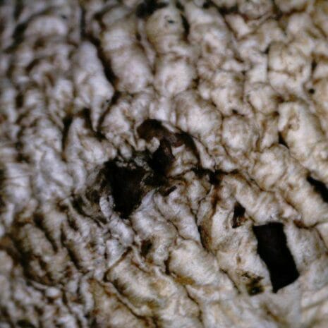 44314_flipview_lcd_d_Zg5QD 44314_flipview_lcd_d_Zg5QD