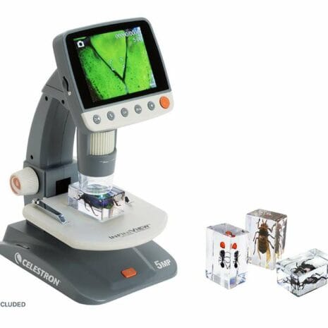 44425_3d_bug_specime_UdNdp 44425_3d_bug_specime_UdNdp