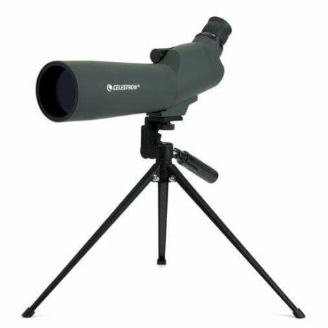 52223_upclose_20_60x_P3YSn 52223_upclose_20_60x_P3YSn