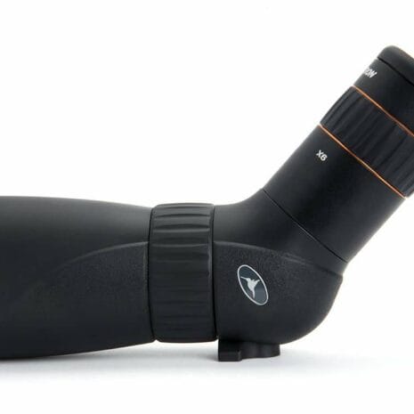 52310_hummingbird_9__GDSEe 52310_hummingbird_9__GDSEe