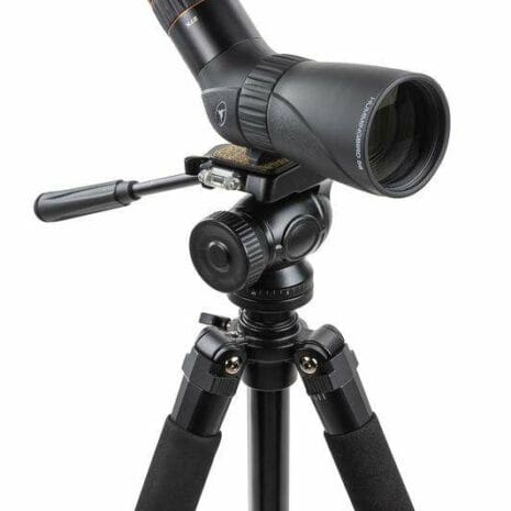 52310_hummingbird_9__dKX1e 52310_hummingbird_9__dKX1e