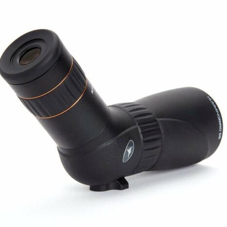 52310_hummingbird_9__kBQIJ 52310_hummingbird_9__kBQIJ