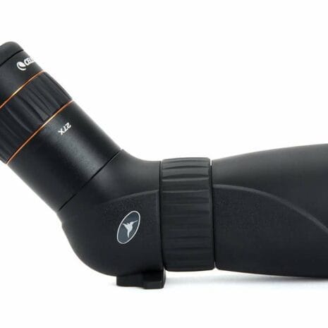 52310_hummingbird_9__zjmJl 52310_hummingbird_9__zjmJl