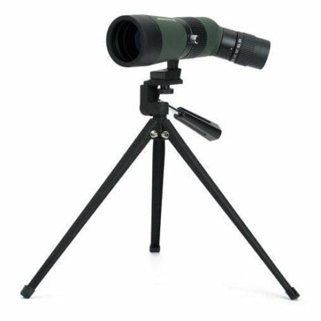 52320_landscout_10_3_LIRBQ 52320_landscout_10_3_LIRBQ