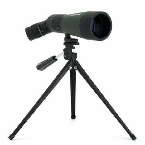 52422_landscout_12_3_PTQWX 52422_landscout_12_3_PTQWX