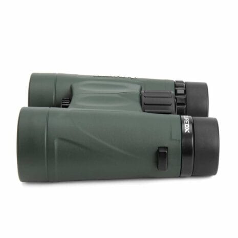 71333_nature_dx_10x4_KAtuy 71333_nature_dx_10x4_KAtuy