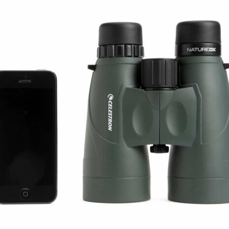 71335_nature_dx_10x5_QCYbT 71335_nature_dx_10x5_QCYbT