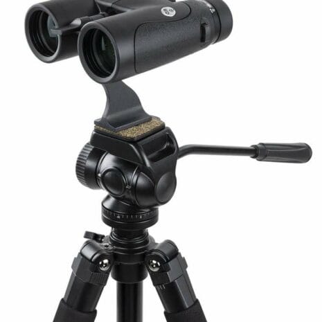 72332_naturedx_ed_8x_NGdnt 72332_naturedx_ed_8x_NGdnt