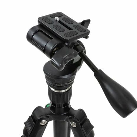 82051_hummingbird_fa_MWpYt 82051_hummingbird_fa_MWpYt