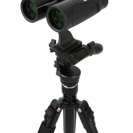 82051_hummingbird_fa_VfNot 82051_hummingbird_fa_VfNot