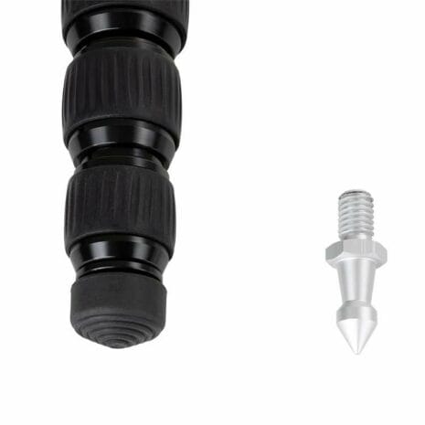 82053_hummingbird_mo_CcJkT 82053_hummingbird_mo_CcJkT