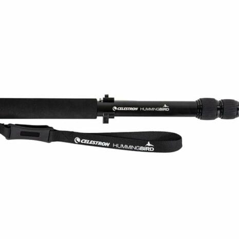 82053_hummingbird_mo_OLBSA 82053_hummingbird_mo_OLBSA