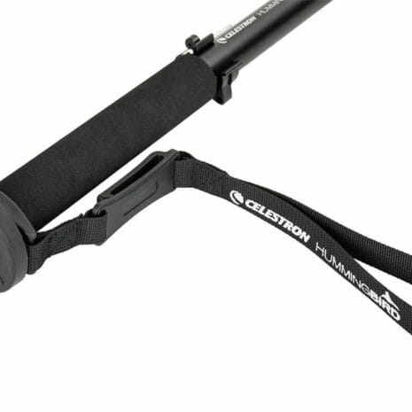 82053_hummingbird_mo_RnNDY 82053_hummingbird_mo_RnNDY