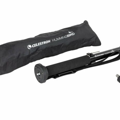 82053_hummingbird_mo_owgOC 82053_hummingbird_mo_owgOC