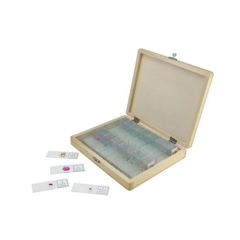 Prepared Slides – 100 piece box