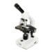 Celestron Labs CM2000CF – Compound Microscope