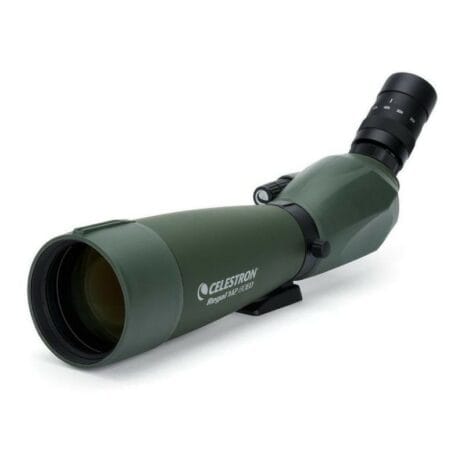 Regal M2 80ED