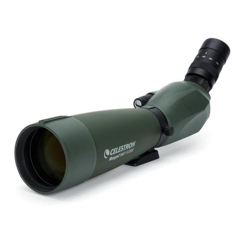 Regal M2 80ED
