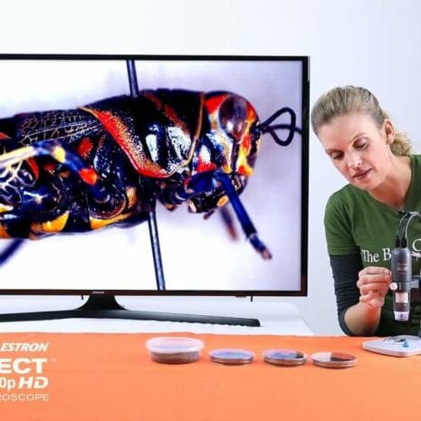 microdirect_lifestyl_rmvxL microdirect_lifestyl_rmvxL