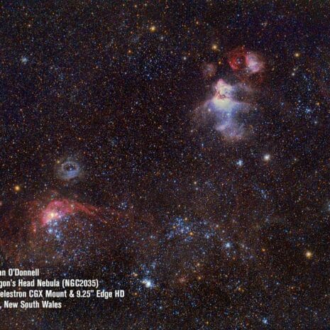 dylanodonnell_dragon_FDWp4 dylanodonnell_dragon_FDWp4