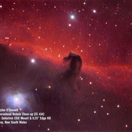 dylanodonnell_horseh_Djo9s dylanodonnell_horseh_Djo9s