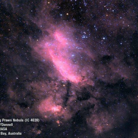 the_big_prawn_nebula_PTMwI the_big_prawn_nebula_PTMwI