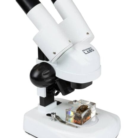 44137_Celestron_Labs_S20_Angled_Stereo_Microscope_02_570x380_3x_db781341-603e-4b83-a3f0-35610cfc2e48 44137_Celestron_Labs_S20_Angled_Stereo_Microscope_02_570x380_3x_db781341-603e-4b83-a3f0-35610cfc2e48