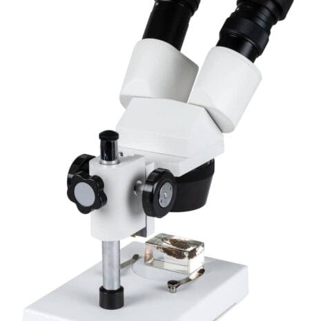 44138_Celestron_Labs_S1030N_Stereo_Microscope_03_570x380_3x_6f157ef5-2c60-40e0-87d2-93cfdcbd63db 44138_Celestron_Labs_S1030N_Stereo_Microscope_03_570x380_3x_6f157ef5-2c60-40e0-87d2-93cfdcbd63db