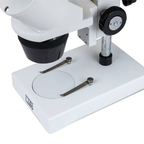 44138_Celestron_Labs_S1030N_Stereo_Microscope_07_570x380_3x_f85bbab3-5627-4f67-a733-c4e6b5c56be1 44138_Celestron_Labs_S1030N_Stereo_Microscope_07_570x380_3x_f85bbab3-5627-4f67-a733-c4e6b5c56be1