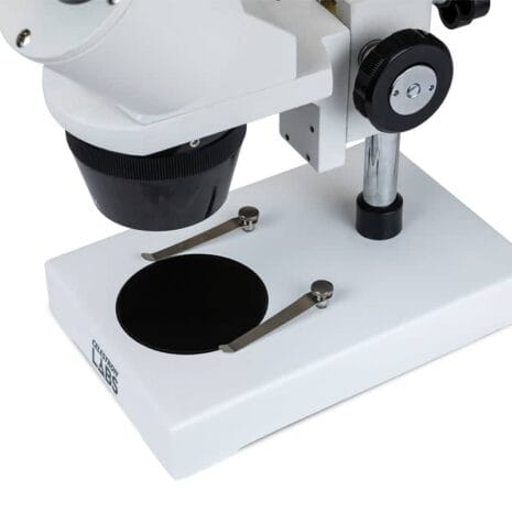 44138_Celestron_Labs_S1030N_Stereo_Microscope_08_570x380_3x_80b9de15-d6e2-49f3-ad91-3f12d280ce2d 44138_Celestron_Labs_S1030N_Stereo_Microscope_08_570x380_3x_80b9de15-d6e2-49f3-ad91-3f12d280ce2d